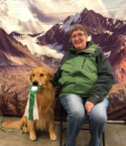 GCH Limelite Fly'n At The Speed of Sound - Golden Retriever - Best of Breed